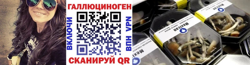 Псилоцибиновые грибы GOLDEN TEACHER Мглин